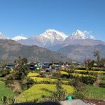 बेनीको तोरीपानीमा सयपत्री ‘होमस्टे’ सञ्चालन   