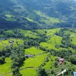 भोजपुरमा ९६ प्रतिशत रोपाइँ सम्पन्न   