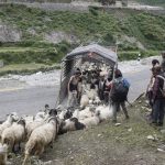 सहरको स्वादका लागि छुट्छ हिमालको दसैँ–तिहार   